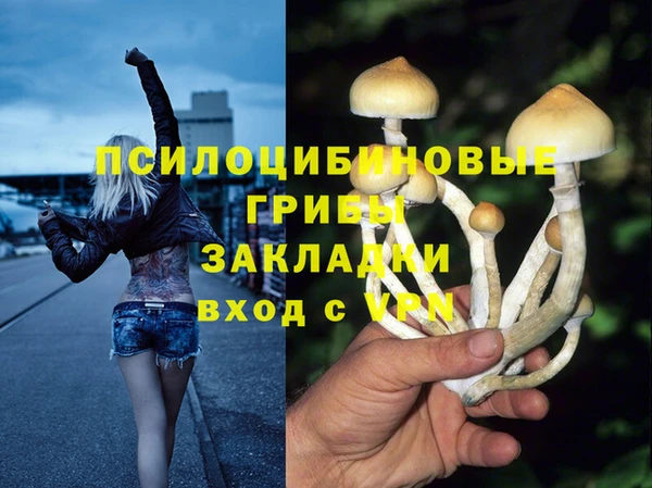 молекула духа Балабаново