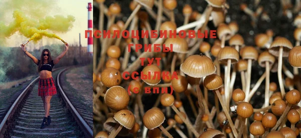 ALPHA PVP Баксан